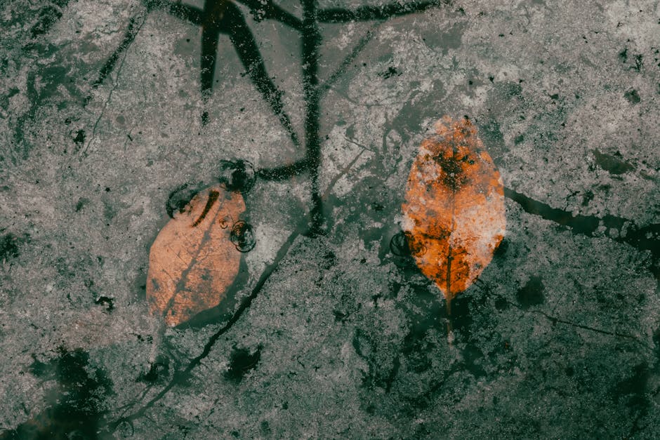 Natural holistic support