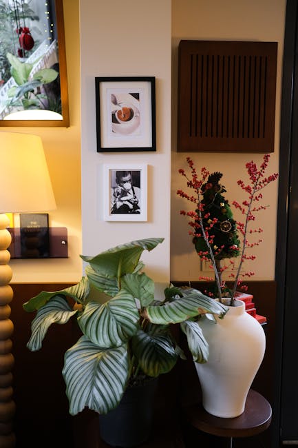 Warm wellness center interior with plants